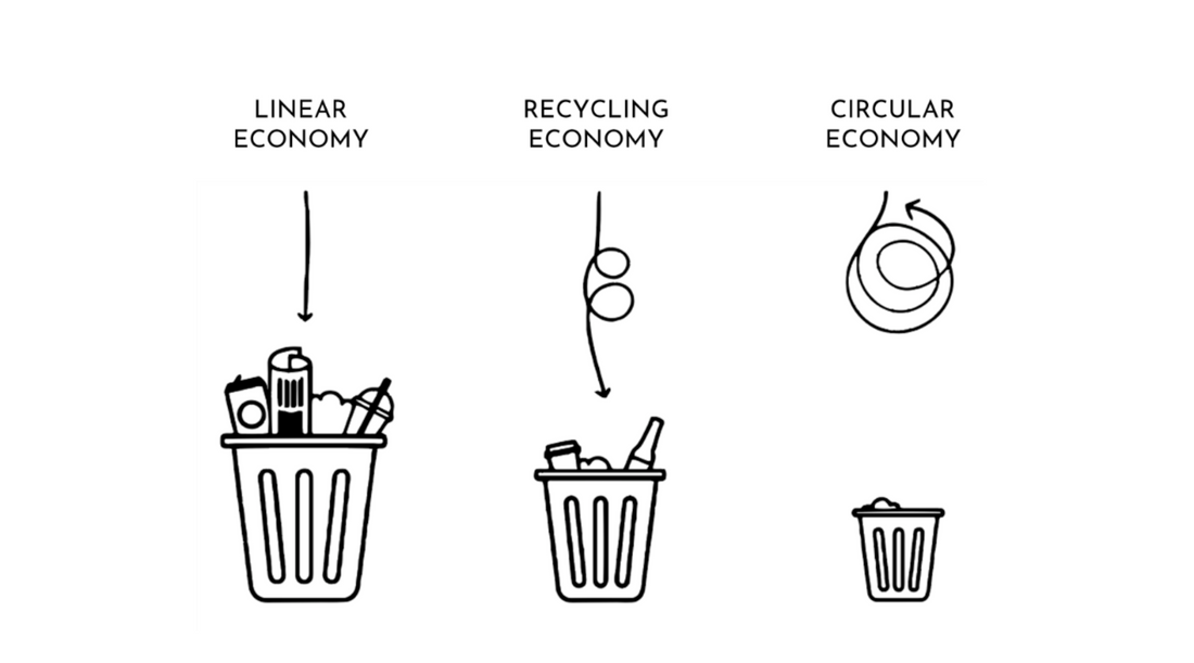 Linear vs circular economy, what's the difference?